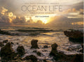 Ocean Life - Underwater Worlds 2027 Calendar